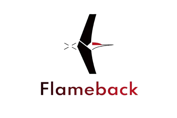 Skykart.in: The Indian Drone SuperStore Flameback